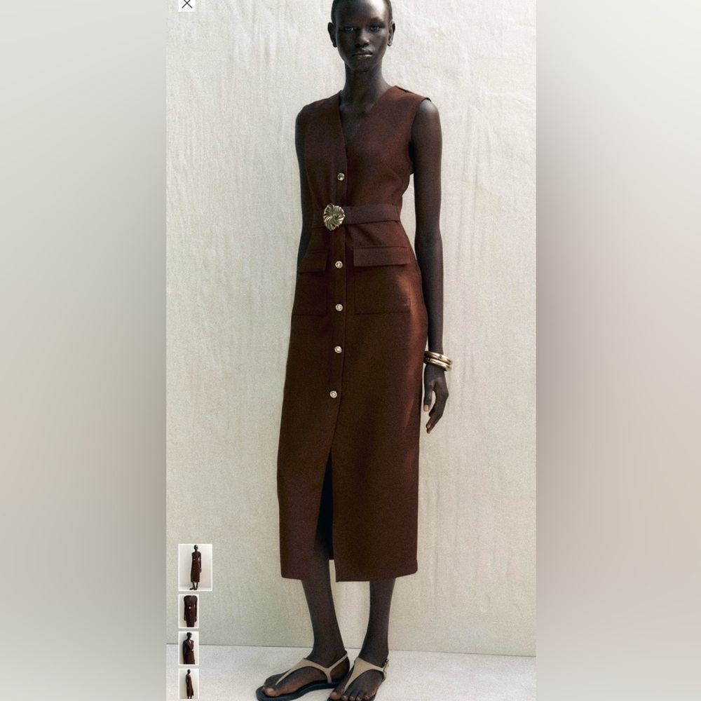 Zara Brown Midi Dress with Gold Accents